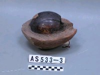 藏品(乾椰子)的圖片